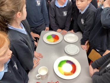 Science Week – 1st & 2nd Classes