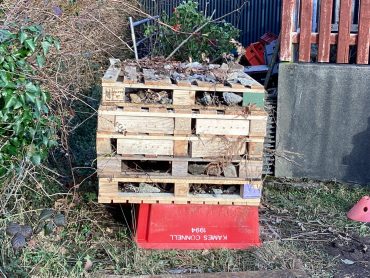 3rd and 4th Classes Construct our Bug Hotel!