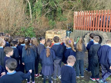 1st & 2nd Classes Visit The Bug Hotel!