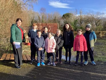 Bug Hotel