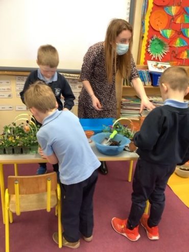 Infants planting their pots!