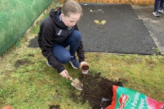 18DFFBE8-B285-47B8-8A27-EEDEC58874EA