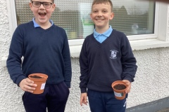 3B84A277-E8E6-4D28-984A-7998C76DE1BC