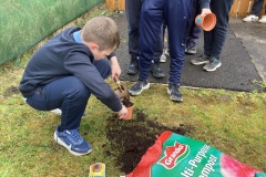 E3BCBCB2-682A-4363-8A51-500738F0ED3E