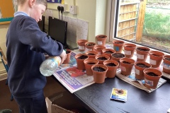 E8DE5734-0D00-4FA8-910D-38BAB6E738C5