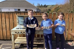 F7E554AA-A233-4CDA-90D3-39FEC2B74295