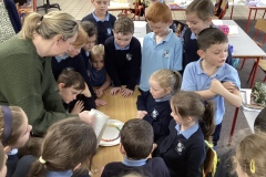 35F15633-7CB5-4BED-82E8-A4D27D1E3750