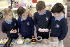 84F4AFBD-B909-4B7C-923A-33D77762B74E