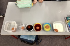 A14F196C-1B8D-4CBC-B01B-7C3754D33EFE