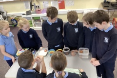 F645E999-6B1D-4ACD-A9B1-B8C675673AFF