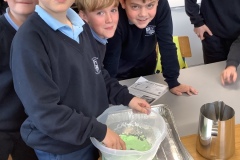 A35791F8-26E3-4EEF-9129-D4FC1E1E2B95